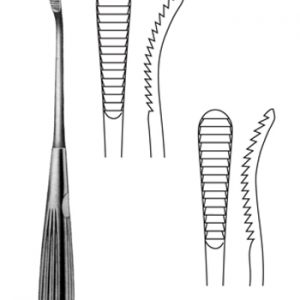 AS7-SIBR1